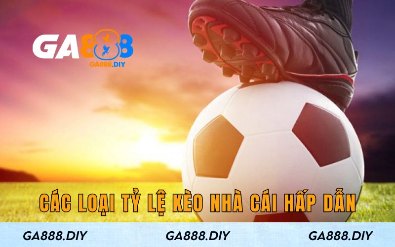 Các loại tỷ lệ kèo nhà cái hấp dẫn