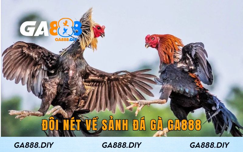 Đôi nét về sảnh đá gà GA888