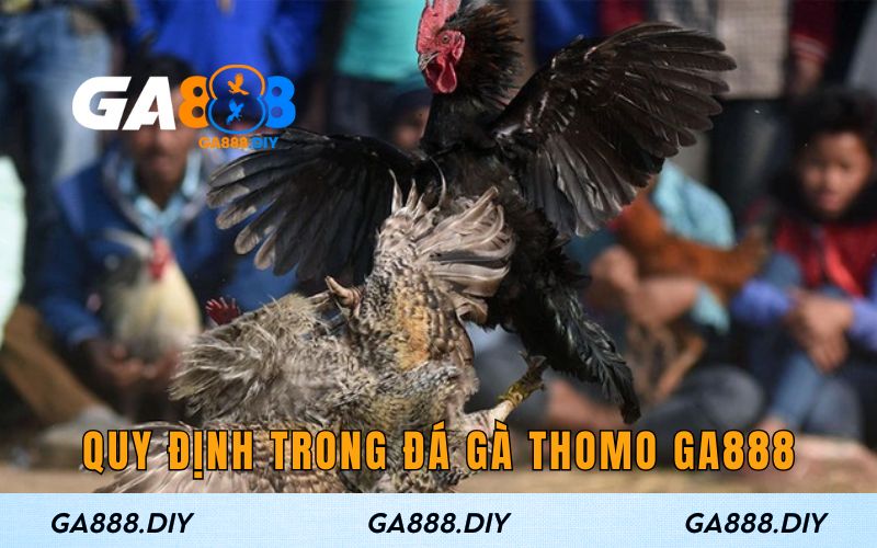 Quy định cần nắm rõ khi tham gia đá gà GA888