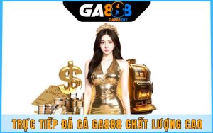 Trực tiếp đá gà Ga888